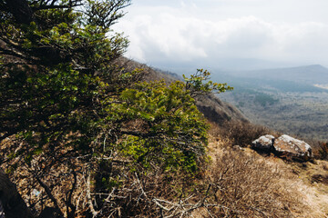 Hallasan National Park, Jeju island, South Korea, spring landscape view of Yeongsil trail, Halla volcano peak, trekking and climbing to Halla mountain, travel and hiking in Korea, Jeju-do, sunny day
