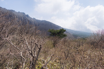 Hallasan National Park, Jeju island, South Korea, spring landscape view of Yeongsil trail, Halla volcano peak, trekking and climbing to Halla mountain, travel and hiking in Korea, Jeju-do, sunny day