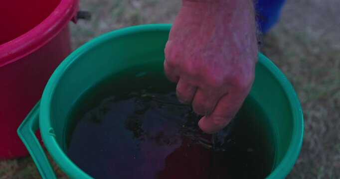 Farmer making wine from ripe grapes and stirring vine liquid with alcoholmeter. Traditional production winemaking in the countryside farms. 