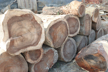 Wooden logs stock on saw mill
