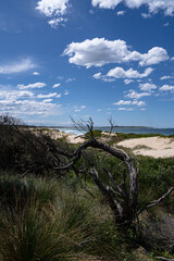 Sandy beach at Wanda Heritage Dunes with ocean on a sunny day