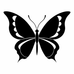 butterfly isolated on white vector art