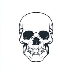 Fototapeta premium Closeup view of skull. The decoration element for Halloween.