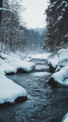 River carving through a snowy landscape, winter river, cold contrast, relentless flow