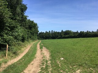 Dirt track on the edge of a forest along a green field - Chemin de terre en lisière de forêt le long d'un champ verdoyant