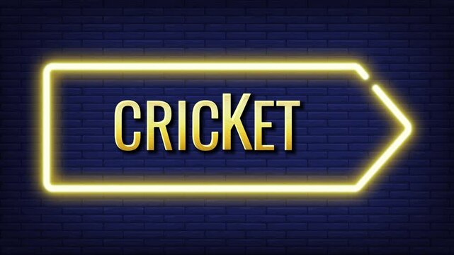 Cricket match sport text effect design vector art golden color animation vedio hd