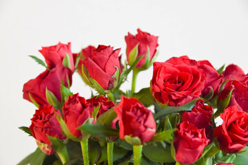 赤い薔薇