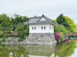 Obraz premium moat near Odawara Castle in Kanagawa Prefecture. moat with water