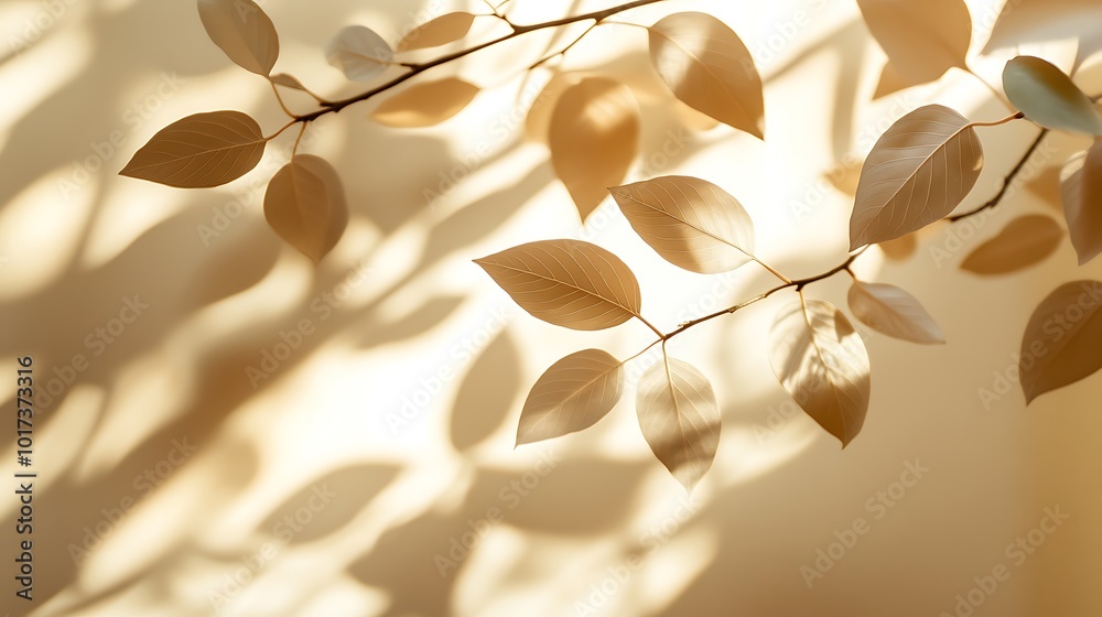 Poster delicate golden leaves casting soft shadows on a light background, creating a serene and warm atmosp