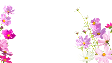 切り抜き透過フレーム-秋桜（16：9）