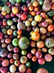 Tomatoes