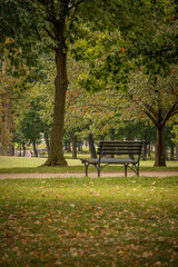 bench in autumn park