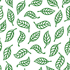 doodle leaf background. doodle leave background pattern background. Hand drawn leaf outline vector. leaves pattern wallpaper.