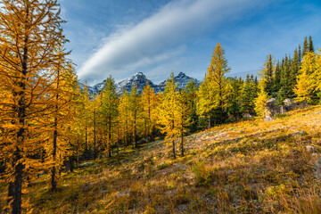 Beautiful fall time scenic views at Sentinal Pass, Larch Valley during September with light snow covering the incredible landscape in northern Canada, Banff National Park. 