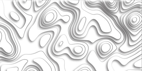 Abstract design with black and white abstract papercut and multi-layer cutout geometric pattern on vector Topographic canyon geometric map relief texture with curved layers beautiful design.	

