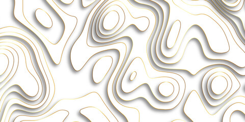 Abstract design with black and white abstract papercut and multi-layer cutout geometric pattern on vector Topographic canyon geometric map relief texture with curved layers beautiful design.	
