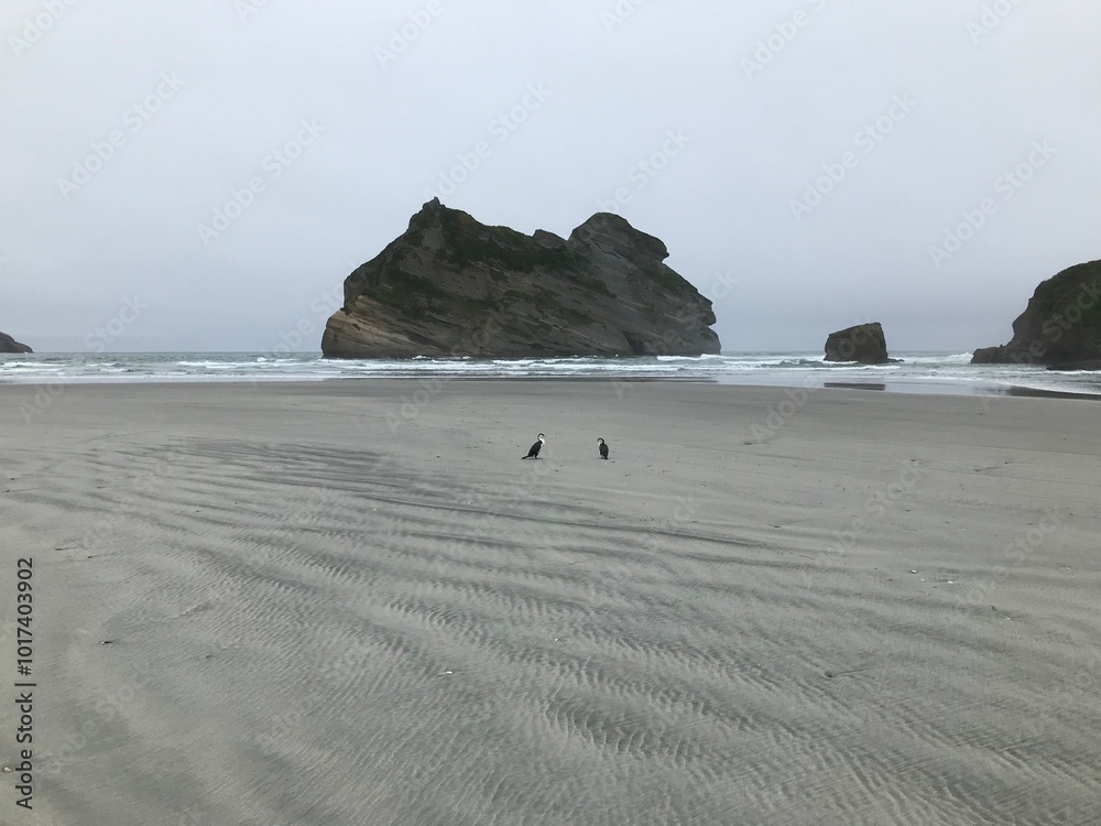 Wall mural shags at wharariki beach nz