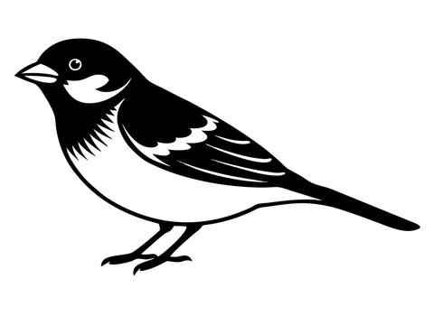recommend clip art: sparrow bird silhouette vector illustration black animal 
