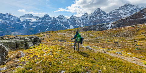 Incredible fall time views at Larch Valley and scenic Sentinal Pass during September with bright yellow trees and landscape covering the wild, wilderness area Banff National Park with hiker woman