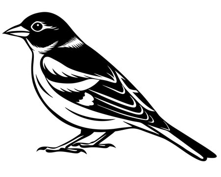 recommend clip art: chaffinch bird silhouette vector black animal 