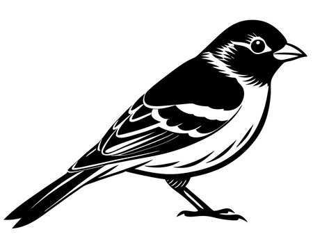 recommend clip art: chaffinch bird silhouette vector black animal 