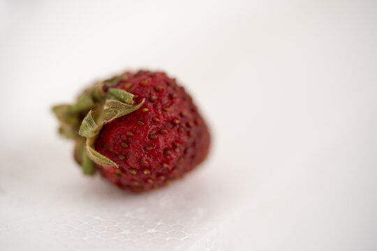 una fresa en proceso de descomposici&oacute;n con fondo blanco
