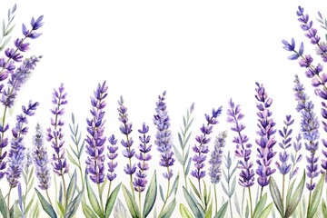 Naklejka premium Asymmetrical seamless border with watercolor lavender