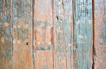 Obraz premium close up of texture of a tree old wood background
