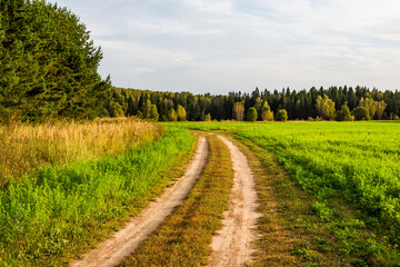 Naklejka premium Rolled track of a dirt road along an agricultural field