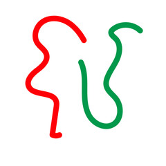 Green red squiggle lines decor