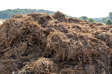 Fertilizer with manure and straw in the country field