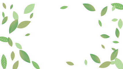 Leaves Vector White Background Illustration. Fresh Greens Template. Grassy Leaf Brochure, Green flying leaves wave,nature Day