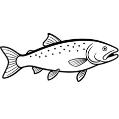 fish on a white background
