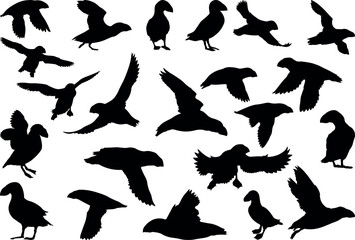 Puffin bird silhouette illustration collection