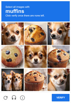 Chihuahua or Blueberry Muffins Captcha test