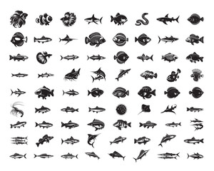 Collection of Fish  Silhouette Design - Fish Vector illustration in black and white 