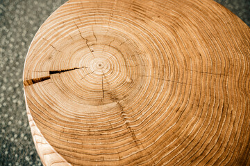 Naklejka premium Modern interior with wood slab coffee table. Tree Rings Art from Wood Cross Section. Wood slice background. 