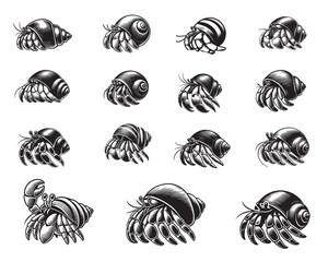 Collection Of Hermit Crab Vector illustration in black and white