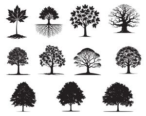 Fototapeta premium Collection of Maple tree Silhouette Design - Tree ClipArt Vector illustration