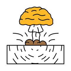 explosion earthquake disaster line icon vector. explosion earthquake disaster sign. isolated symbol illustration