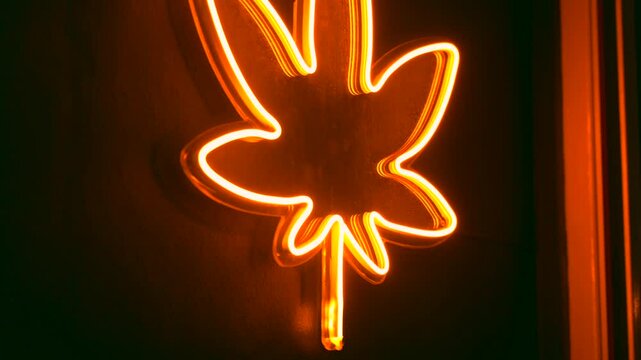 Close up of red neon marijuana leaf logo glowing on the wall of cannabis shop on the street at night. Legalization for medical and recreational use