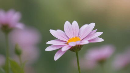 closeup of a pink flower