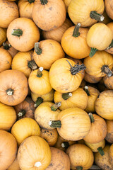 crate of pumpkins 