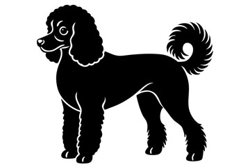  poodle silhouette vector white background