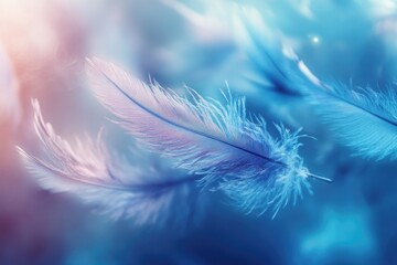 Obraz premium A close-up of delicate feathers in soft blue and pink hues, capturing their ethereal beauty and gentle texture.