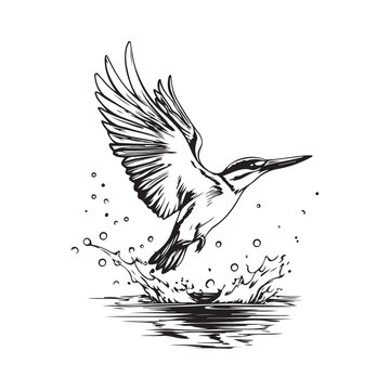 recommend clip art: Small kingfisher bird flying water image vector isolated on white background.