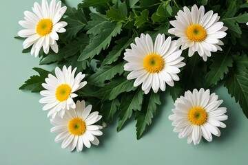 Obraz premium there are many white flowers with yellow centers on a green surface
