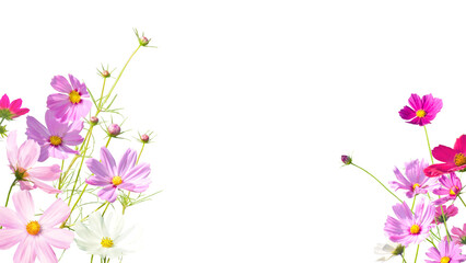 Naklejka premium 切り抜き透過フレーム-秋桜（16：9）2
