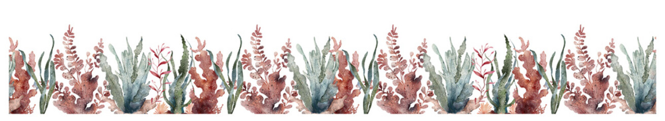 Fototapeta premium Watercolor seamless border algae and corals seaweed isolated on white. Sea theme, design element, decoration of water entertainment places, parks, beaches.