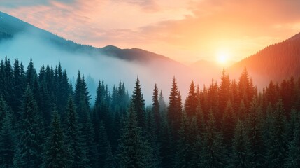 Misty foggy mountain landscape with fir forest amazing sunset sky and copyspace in vintage retro hipster style
